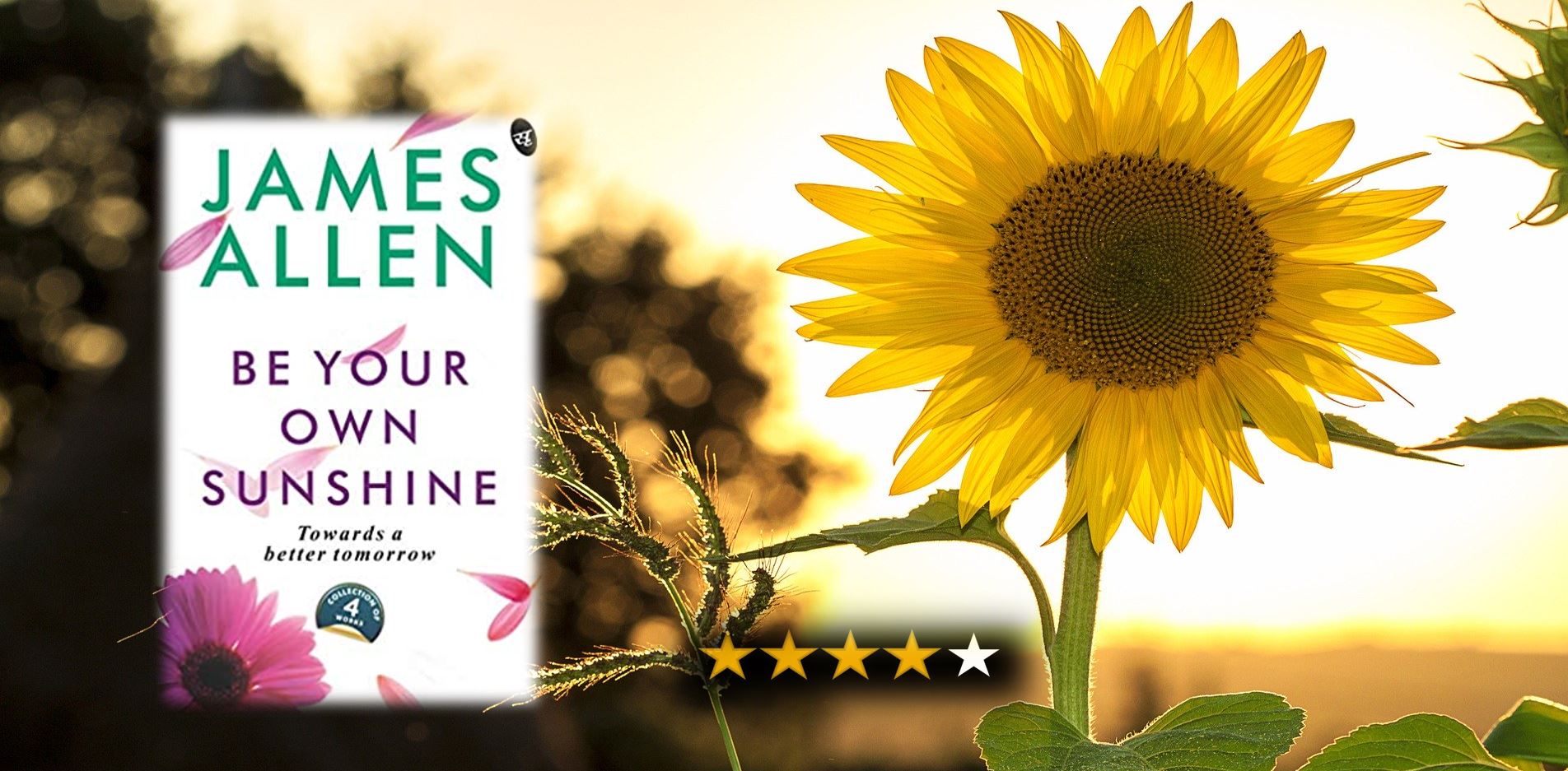 Book Review: Be Your Own Sunshine by James Allen - Lavender Orchids